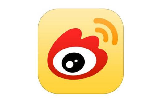 브랜드 현황
