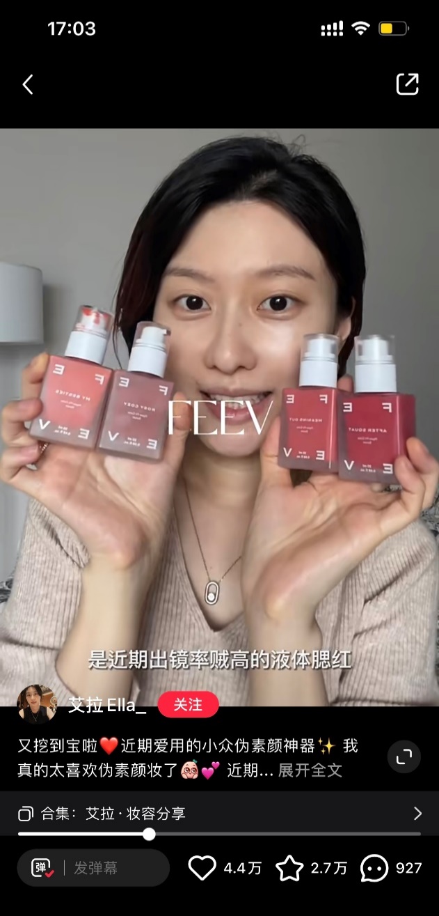 인플루언서 포스팅 (샤오홍슈)